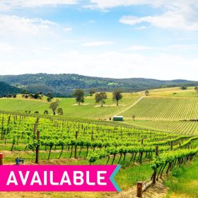 Barossa Valley One Day Tour