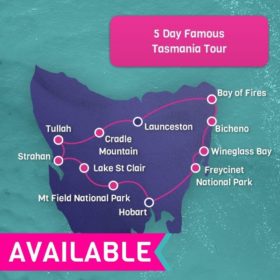 5 Day Tasmania tour - Hobart Return