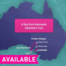 6 Day Eyre Peninsula & Flinders Ranges Tour