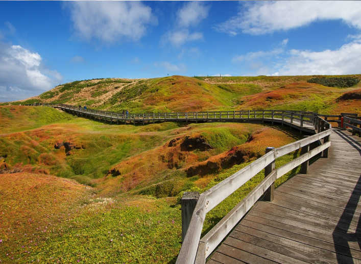 Things to do in Phillip Island, Victoria