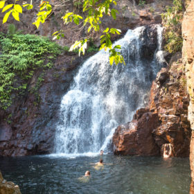 3 Day 2 Night Kakadu and Litchfield Dragonfly 4WD Tour with Comfort