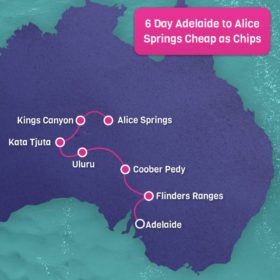 6 Day Adelaide to Alice Springs Cheap as Chips