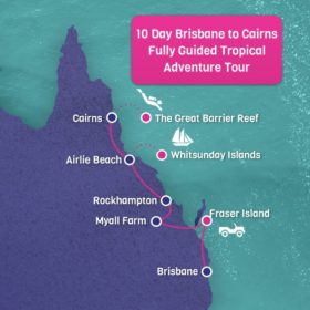 10 Day Brisbane to Cairns Fully Guided Tropical Adventure