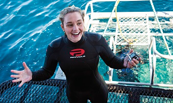 How much is shark cage diving in Port Lincoln?