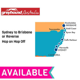Greyhound East Coast Whimit Bus Pass - Sydney to Brisbane Hop-on Hop-off
