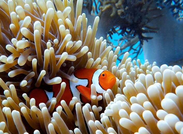 What month is best to visit Great Barrier Reef?