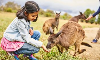 Girl feeding kangaroo
