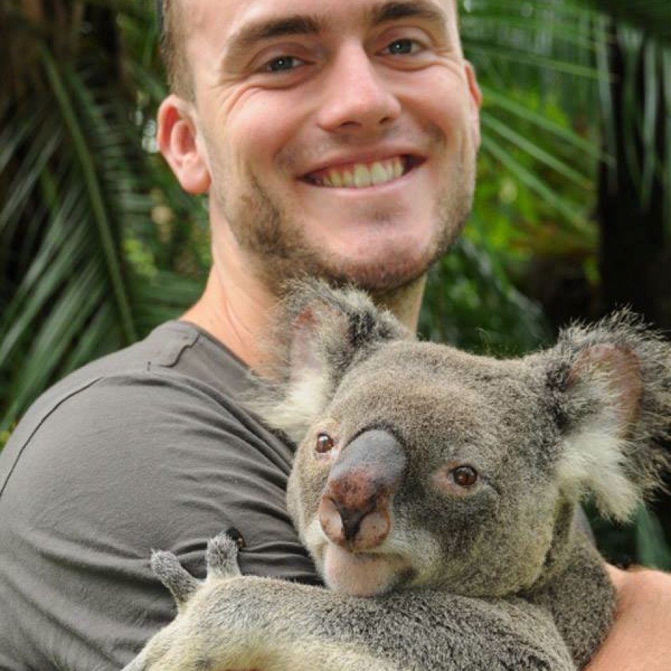 Australia Zoo Koala Cuddle