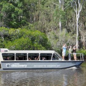 Noosa Everglades 1 Day River Eco Cruise