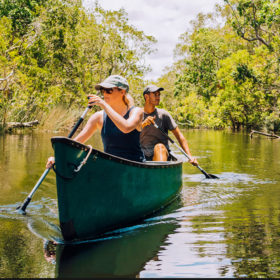 Noosa Everglades 1 Day River Canoe or Cruise Explorer