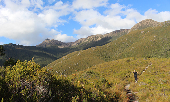 One stop adventures southwest national park day hikes Tasmania