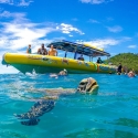 Ocean Rafting Tour Turtle