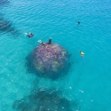Half-day Great Barrier Reef Tour - snorkelling