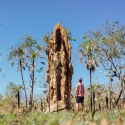 1 day litchfield jumping crocodile cruise - termite mounds