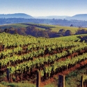 hunter Valley day tour