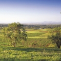 hunter Valley day tour