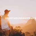 Mount Ngungun Greyhound