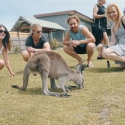 Phillip Island Melbourne Arrival Package 8 Day Kangaroo Group Shot