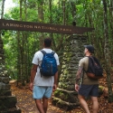 lamington-national-park-day-tour