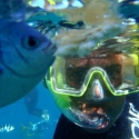 Snorkel with the friendly fish