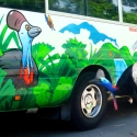 Cassowary checking out the bus