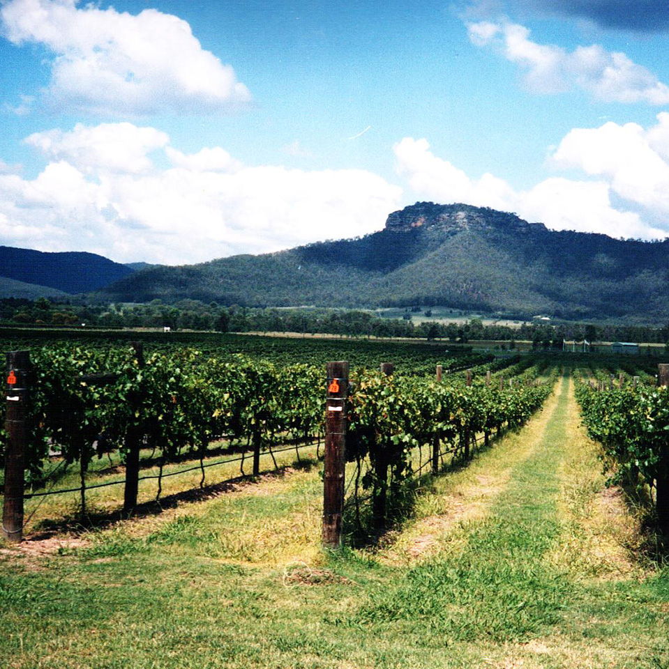 winery tours hunter valley